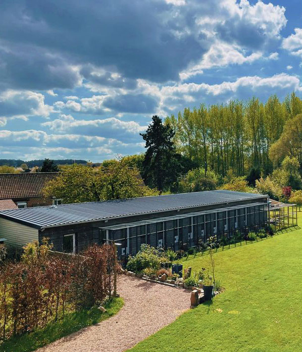 Le Domaine Des Minoux - Pension pour chats